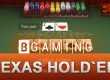 game Texas Holdem